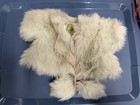 Cabbage Patch Kids Fun Fur  White And Gray — photo 1