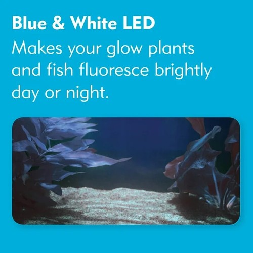 TWO - Life Light Blue & White LED Aquarium Day Light, Night Light, Submersible - Picture 7 of 7
