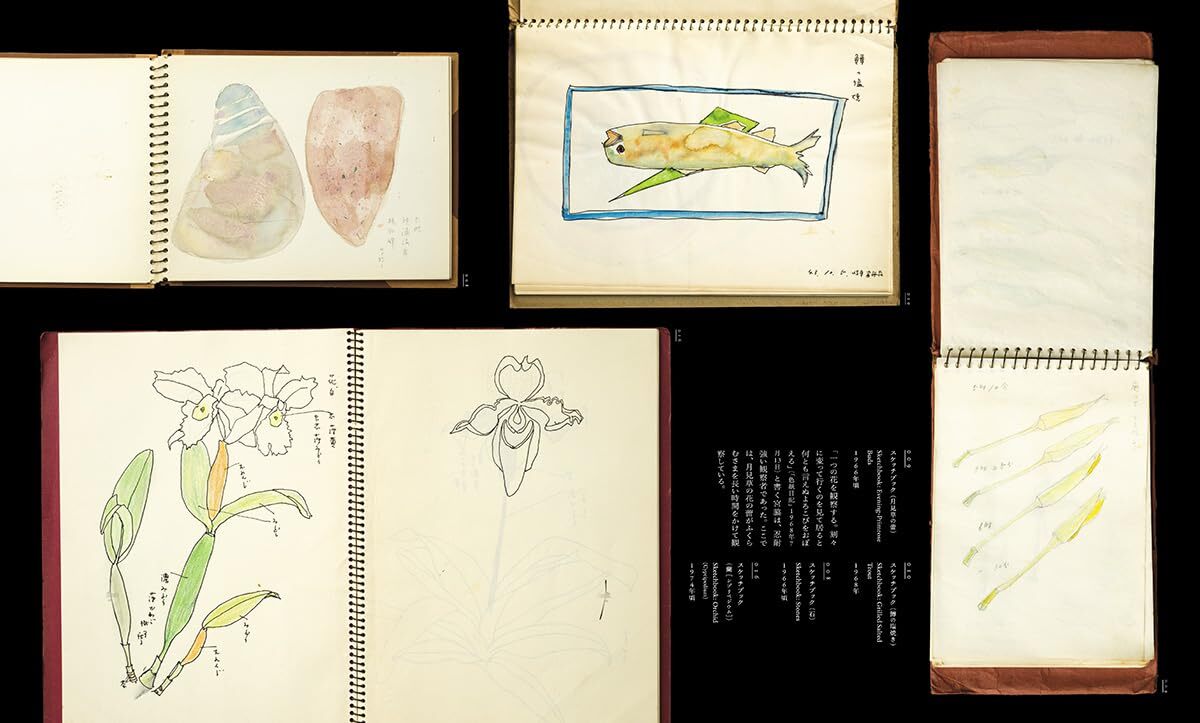 Ayako Miyawaki Textile Collage Art Book Applique Fabric Works
