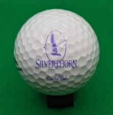 Silverthorn Country Club logo golf ball (Spring Hill, Florida)