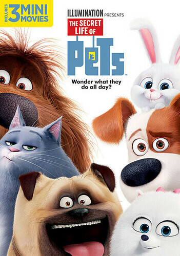 The Secret Life Of Pets (DVD, 2016) Rdbx Disk Only 4028