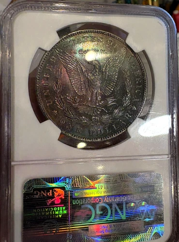 1888 P Toned Morgan $💎💎NGC MS 65💎💎Godzilla Deep Color Rainbow 💎💎SEE VIDEO