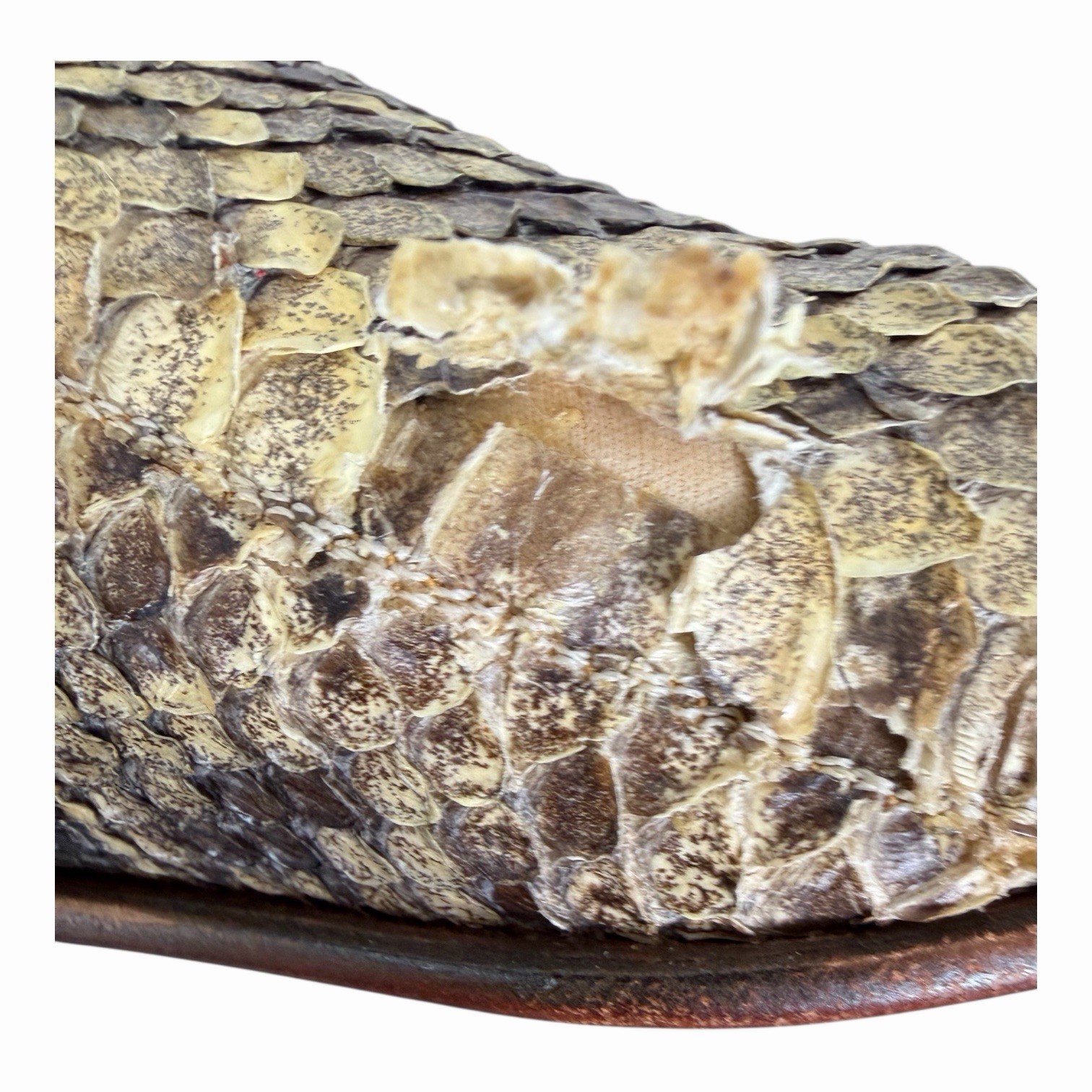 LUCCHESE CLASSIC EASTERN DIAMONDBACK RATTLESNAKE … - image 12