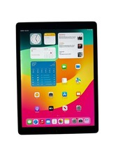 Apple - 12.9" iPad Pro 256GB 2nd generation with Wi-Fi - READ DETAILS