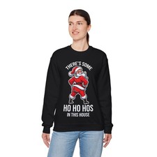 Santa with 'There's Some Ho Ho Hos' Sweatshirt  Christmas Crewneck