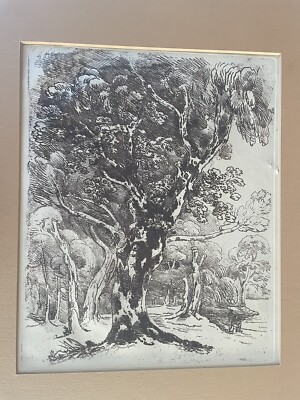 1840 etching St James Square etching tree
