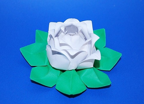 Origami LOTUS paper flower water lily wedding valentine gift wishing lantern - Picture 15 of 25