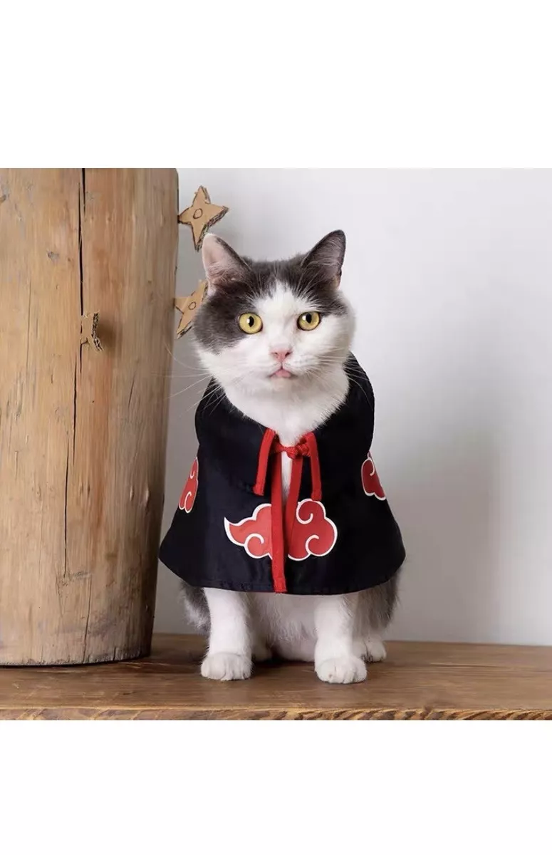 Cute cat hotsell jacket