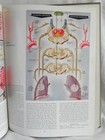 Bild 8 von 11