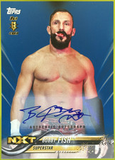 2018 Topps WWE Wrestling Cards 34