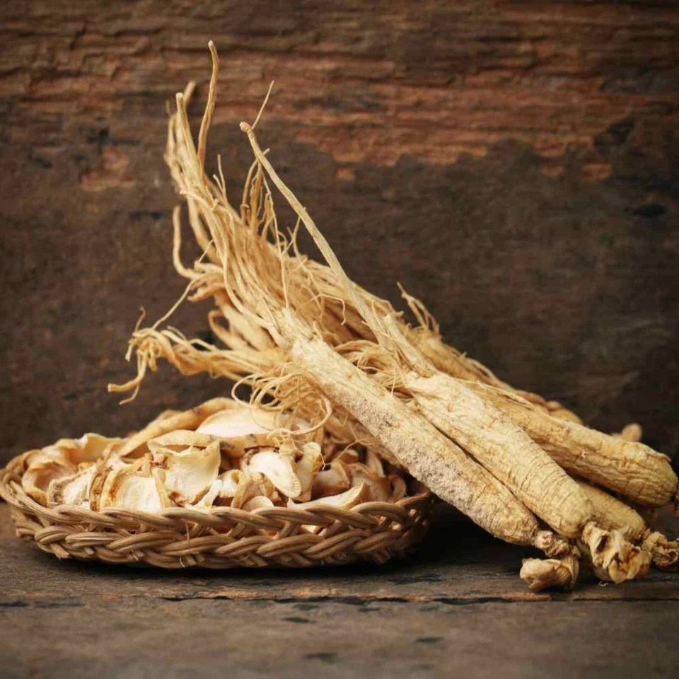 10 semillas de ginseng asiático (Panax ginseng) hierba perenne medicinal Foto 2 de 3