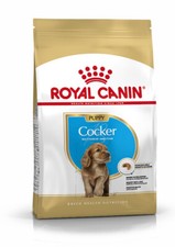 ROYAL CANIN Cocker Puppy Dry Dog Food 3kg 8.00 per kilo