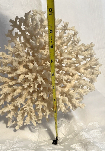 Coral Natural Reef 10"X9"X5" Decor Display Aquarium Large White w/Stand - Picture 9 of 10