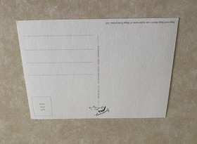 Sega Saturn Nights into dreams postcard Unposted New