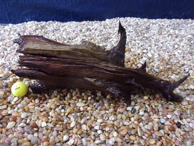 Large Driftwood 07''x18''x07''  Aquarium Terrarium Reptile Natural Art