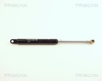 Triscan Gasfeder Motorhaube 8710 25101 FüR Renault 25 B297 12V B294 Diesel B296
