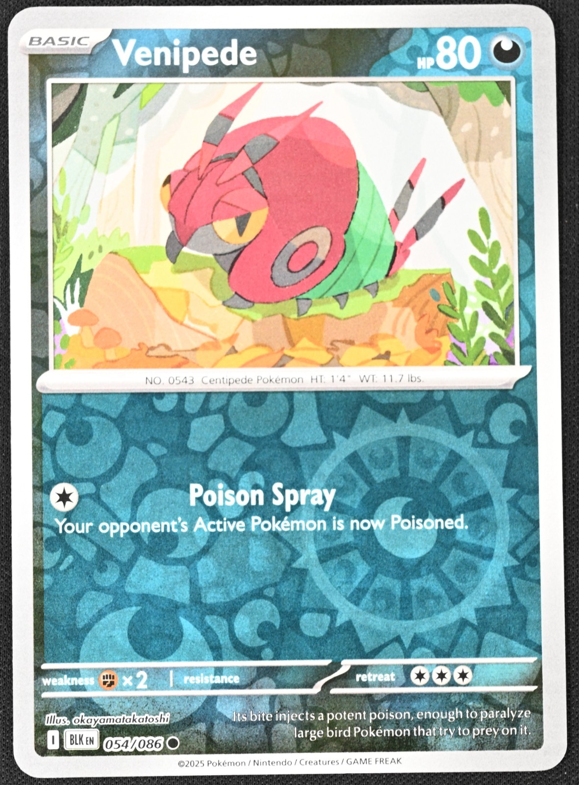 Pokémon TCG - Venipede 054/086 Reverse Holo SV: Black Bolt ENG NM/M