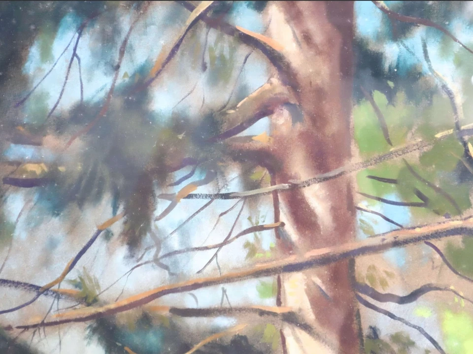 Stanley Allyn Schaeffer (American 1935–2009) "White Pines" Original Pastel 31×25 - Image 3 of 4