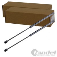 2X NTY Gasfedern KOFFERRAUM-LIFTER Passend FüR | AE-SB-000