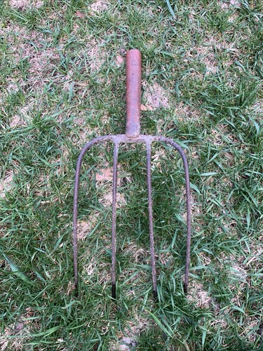 Old Rusty 4 tine pitch fork forged steel Primitive Hay Straw Clam Digging Tool
