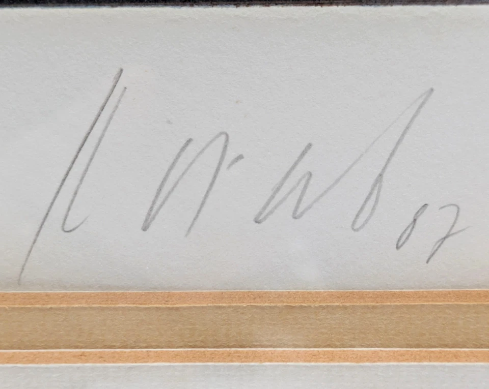 KARL KORAB *1937 Farbradierung SIGNIERT dat. 1987 NUMMERIERT abstrakt STILLLEBEN - Bild 3 von 4