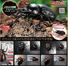 New Bandai Megasoma & Dynastes Hercules Figure Complete Set w/display stand