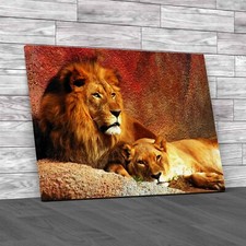 Wild Lion And Lioness Relaxing At Dusk Canvas Print Large Picture Wall Art