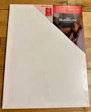 Toile à Peindre Munch 30x40cm Blanc Bleiswijick peinture acrylique chassis NEUF