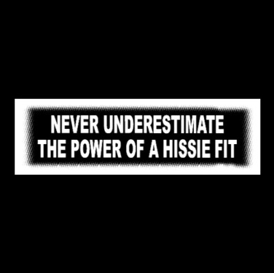Funny ''NEVER UNDERSTIMATE THE POWER OF A HISSIE FIT'' bumper sticker spoiled wife