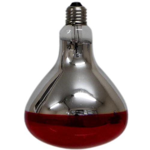 Bombilla de lámpara de calor infrarroja 150W 250W cerámica o porcelana E27 soporte de lámpara cría - Imagen 11 de 23