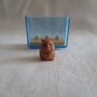 Bild 2 von 2