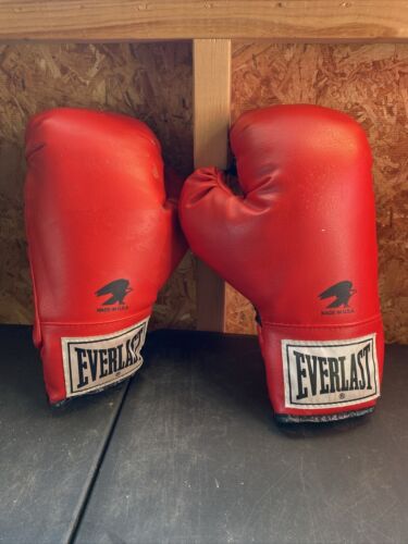 EVERLAST BOXING GLOVES ~ 16oz Red TRAINING /BOXING made in USA - Afbeelding 1 van 12