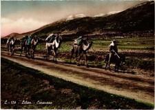 CPM AK Caravan LEBANON (1494110)