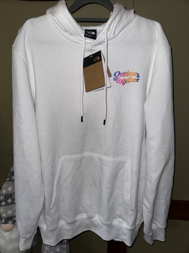 the north face hoodie large