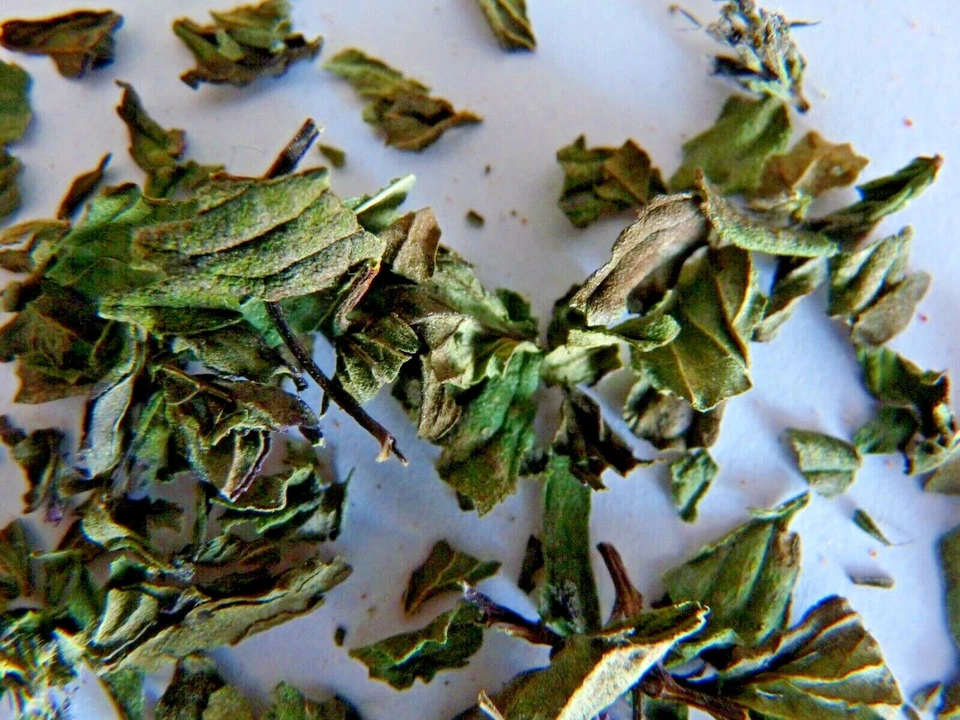 Зеленый мятный лист 10 г соусы ягненок ноги горох чай сироп курица - Изображение 2 из 3