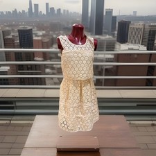 Beige Lace Floral A-Line Dress Sleeveless Scoop Neck Knee Length Pullover