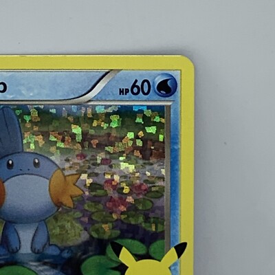 most expensive card in 151 pokemon set Scarlet and violet 151 most expensive cards now @ 75 weeks after release  with the charizard exploding in price raising from right around 200 to now  almost 300 and a PSA 10