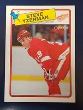 1988-89 O-Pee-Chee Hockey Cards 14