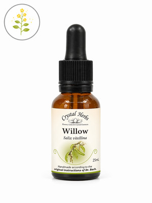 Willow - Bach Flower Remedies