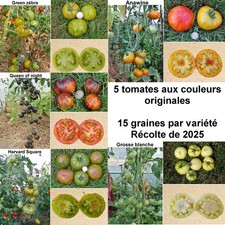 75 graines - 5 variétés de tomates aux couleurs originales