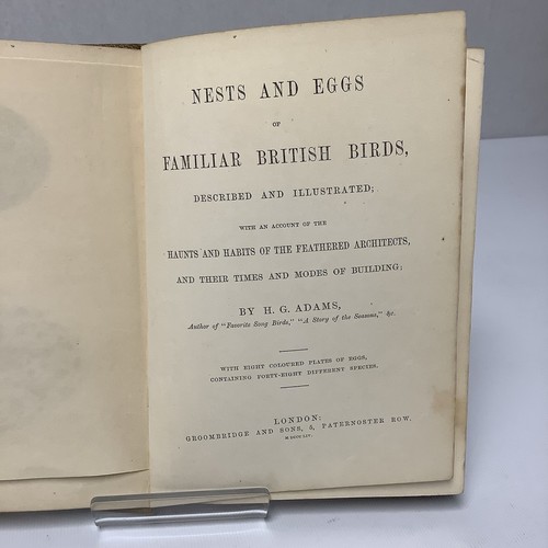 Nests and Eggs of Familiar Birds H G Adams (Young Naturalists) 1854 First Ed - Picture 4 of 11