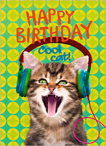 Cartina Di Auguri Gatto Happy Birthday Cool Cat Buon Anniversario 12 Cmx17cm Ebay