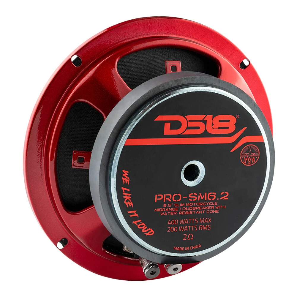 DS18 PRO-SM6.2 6.5