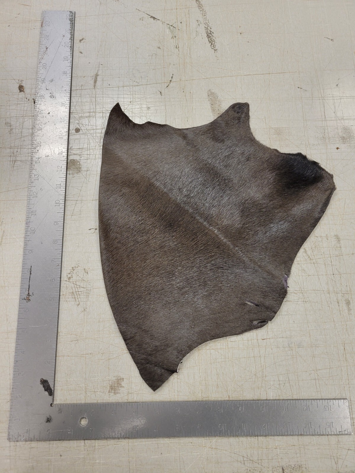 3 lbs. Bulk Scrap Leather Hair On Hide, Cowhide Remnants, Premium Leather