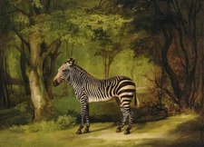 MQ-OP0293 100% Handmade Painted Zebra In Forest  Oil Painting Art On Canvas