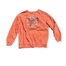 Harry Potter Hogwarts Gryffindor Orange Sweatshirt Pullover Size- XL