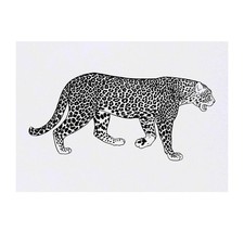 'Leopard' Temporary Tattoos / Transfers TO00029184 