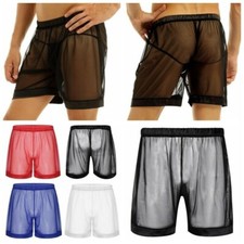 Men's Fishnet See Through Boxer Shorts Quick Dry Swim Trunks Underwear Briefs