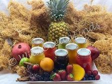 Wildcrafted Seamoss Gel Made Fresh With Dried Seamoss St. Lucian Sea Moss Gel