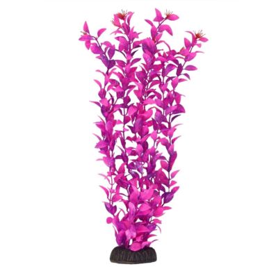 RA UNDERWATER TREASURES Ludwigia - Pink - 16 (2 Pack)